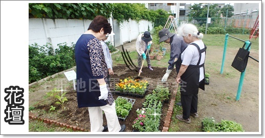 花壇植え替え8