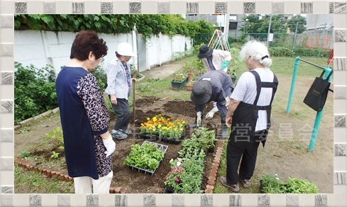 花壇植え替え7