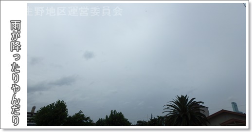 空模様