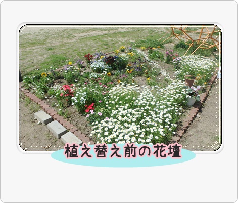植え替え前の状態