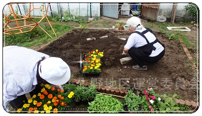花壇植え替え