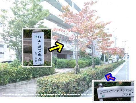 名前入り