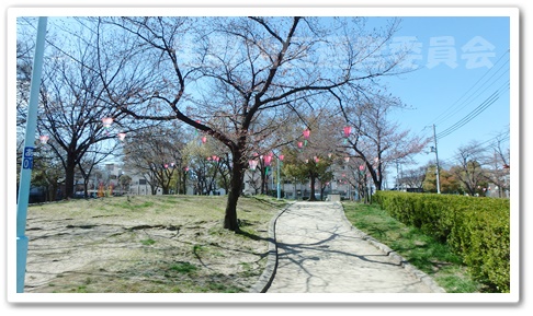 生野東公園　桜