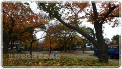 生野東公園250