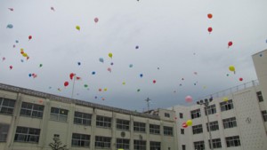 IMG_3608