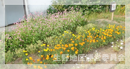 花壇