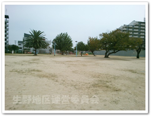 公園全体