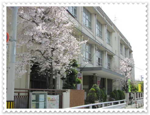 生野小学校の正門付近の桜 正門の桜.jpg