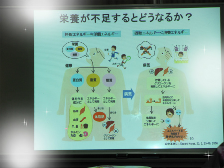 栄養が不足するとどうなるか 映写機 図.jpg
