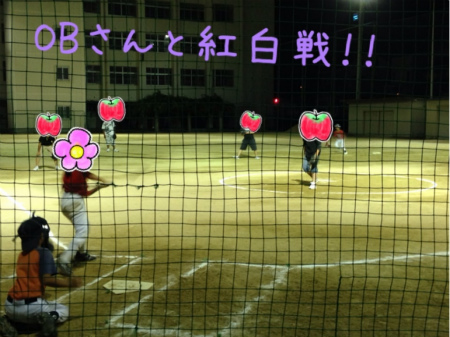ソフト4.jpg