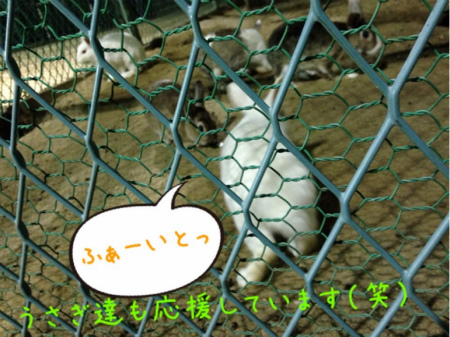 生小ソフト ナイター3.jpg