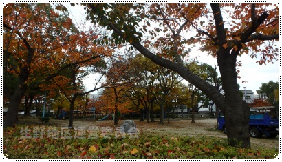 生野区生野東公園の紅葉.jpg