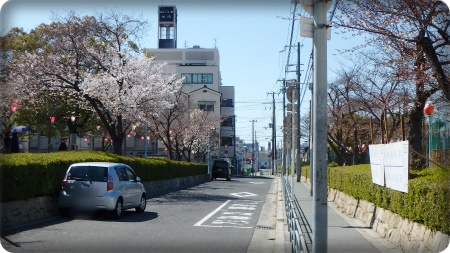 2015.3.28反対側 生野東公園.jpg