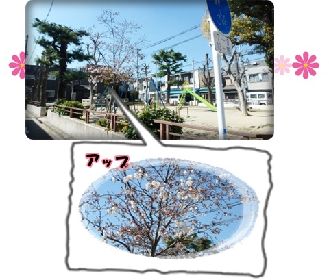 舎利寺公園の様子.jpg