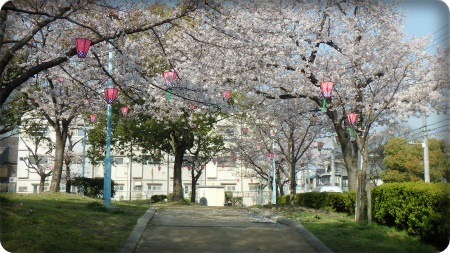 公園の中から.jpg