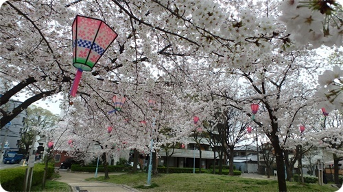 生野東公園　遊歩道の広場　入口より.JPG