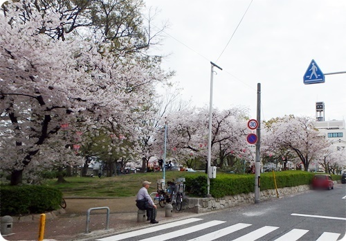 道路から見た風景.JPG