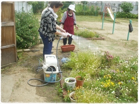 水やり.jpg